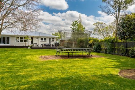 Photo of property in 36 Kakanui Avenue, Hillcrest, Hamilton, 3216
