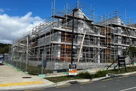 Photo of property in 69 Waterlily Street, Hobsonville, Auckland, 0616