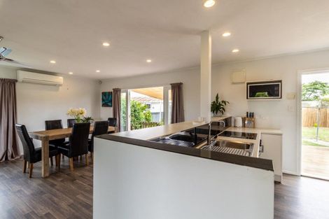 Photo of property in 303 Lumsden Road, Akina, Hastings, 4122