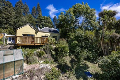 Photo of property in 57 Opoho Road, North East Valley, Dunedin, 9010