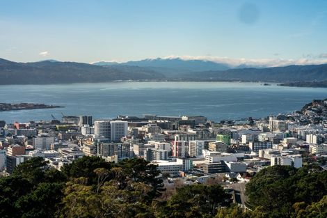 Photo of property in Harbour View Apartments, 147 Ohiro Road, Brooklyn, Wellington, 6021