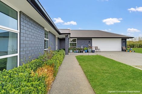 Photo of property in 241 Matapiro Road, Crownthorpe, Hastings, 4179
