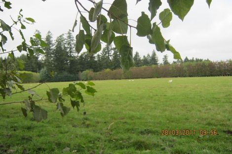 Photo of property in 36 Burdon Road, Woodbury, Geraldine, 7991