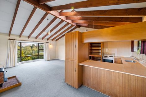 Photo of property in 3 Plantation Road, Wanaka, 9305