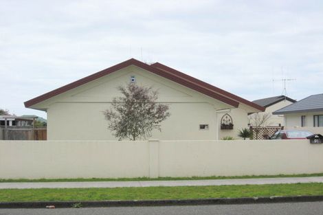 Photo of property in 91 Weraroa Road, Levin, 5510