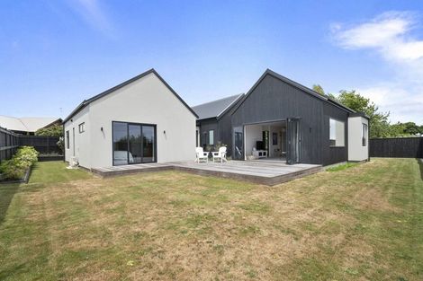 Photo of property in 161 Pharazyn Street, Feilding, 4702