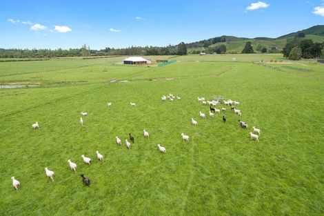 Photo of property in 216 Powells Road, Starvation Hill, Oxford, 7495