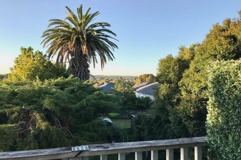 Photo of property in 117 Crummer Road, Grey Lynn, Auckland, 1021