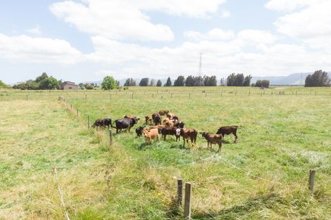 Photo of property in 565 Hauraki Road, Turua, Thames, 3574