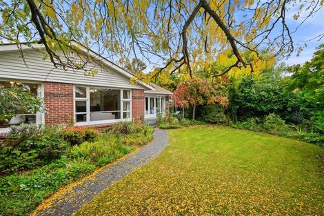 Photo of property in 39 Rountree Street, Upper Riccarton, Christchurch, 8041