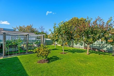 Photo of property in 11 Byron Street, Te Hapara, Gisborne, 4010