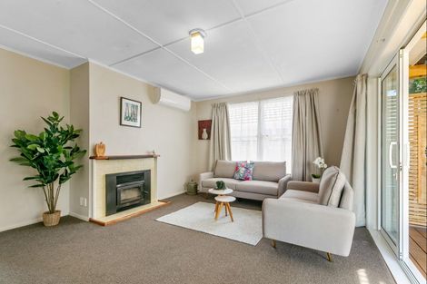 Photo of property in 9 Dorset Street, Levin, 5510