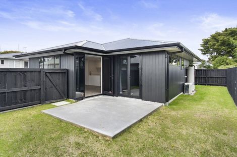 Photo of property in 399a Peachgrove Road, Fairfield, Hamilton, 3214