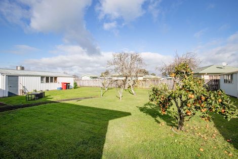 Photo of property in 6 Hale Place, Ngatea, 3503