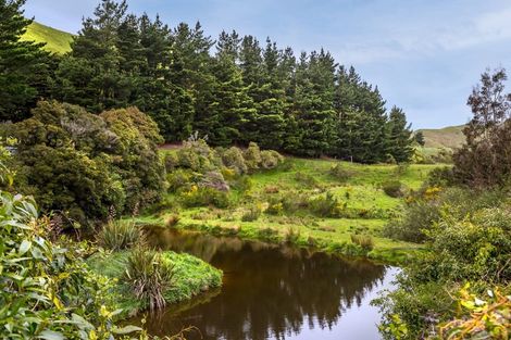 Photo of property in 174 Opaki Kaiparoro Road, Eketahuna, 4994