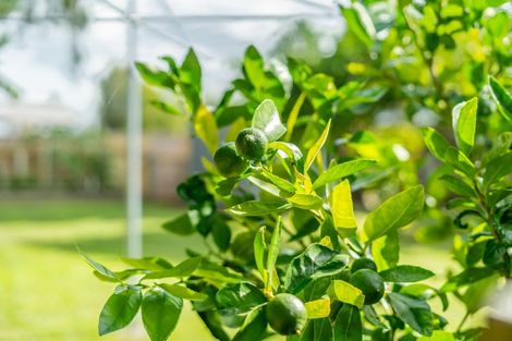 Photo of property in 58 Fraser Crescent, Elderslea, Upper Hutt, 5018