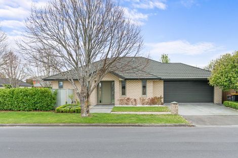 Photo of property in 8 Providence Place, Redwood, Christchurch, 8051