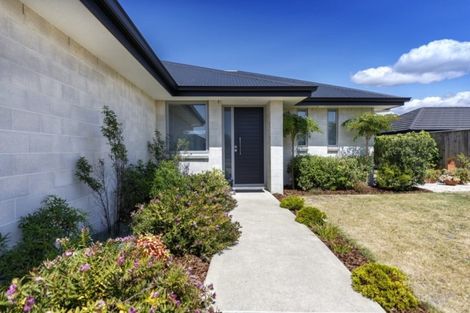 Photo of property in 14 Stedyl Crescent, Richmond, 7020