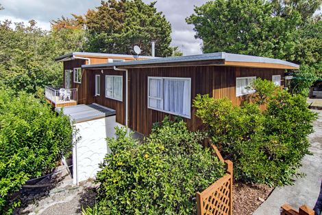 Photo of property in 21 Titoki Street, Lansdowne, Masterton, 5810