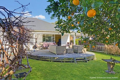 Photo of property in 28 Pollen Street, Kawerau, 3127