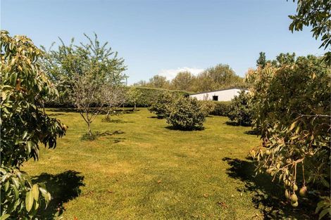 Photo of property in 14 Nga Parae Road, Oropi, Tauranga, 3173