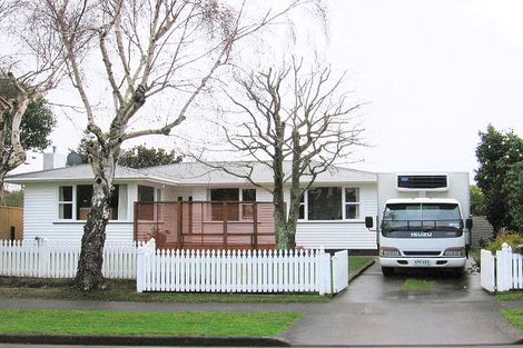 Photo of property in 3 Conway Place, Terrace End, Palmerston North, 4410