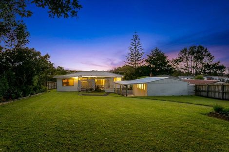 Photo of property in 23 Blease Street, New Lynn, Auckland, 0600