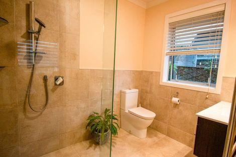 Photo of property in 10 Windsor Street, Terrace End, Palmerston North, 4410