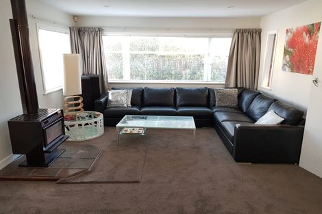 Photo of property in 40a Puriri Street, Miramar, Wellington, 6022