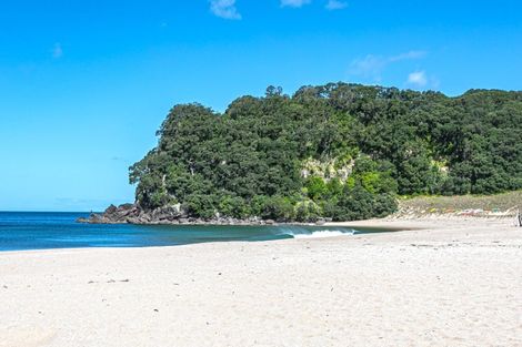 Photo of property in 226 Onemana Drive, Onemana, Whangamata, 3691