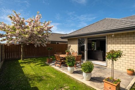 Photo of property in 37 Maeburn Street, Witherlea, Blenheim, 7201
