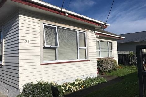 Photo of property in 133 Derwent Street, Island Bay, Wellington, 6023