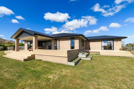 Photo of property in 14 Fallow Avenue, Feilding, 4775