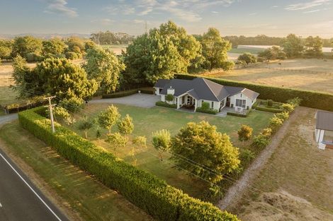 Photo of property in 60 Lamb Street, Leamington, Cambridge, 3495