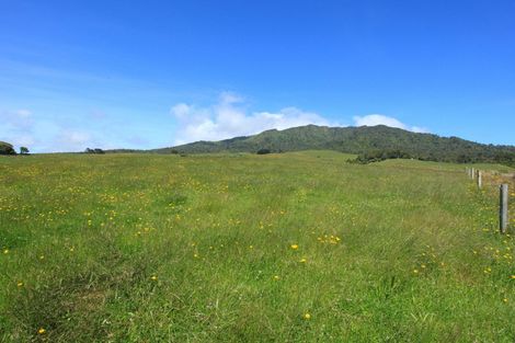 Photo of property in 696b Te Hutewai Road, Raglan, 3296