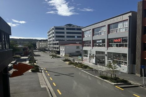 Photo of property in 1/20 Garrett Street, Te Aro, Wellington, 6011