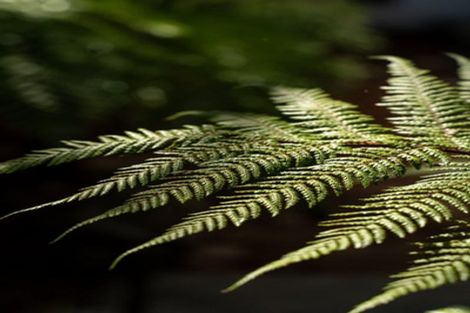 Photo of property in 89 Oakhampton Street, Hornby, Christchurch, 8042