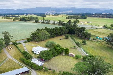 Photo of property in 299 Bidwills Cutting Road, Morison Bush, Greytown, 5794
