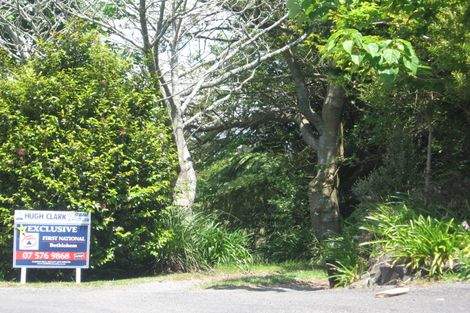 Photo of property in 295e Minden Road, Minden, Tauranga, 3176