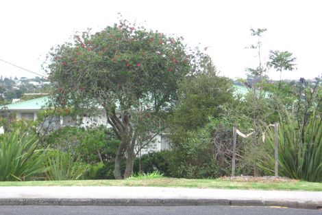 Photo of property in 23 Buscomb Avenue, Henderson, Auckland, 0610