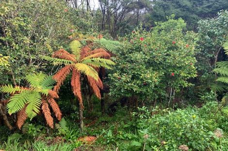 Photo of property in 46 Glen Vista Place, Bayview, Auckland, 0629