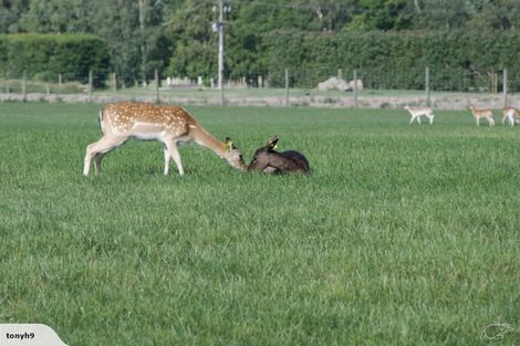 Photo of property in 18 Meadowlinks Lane, Pleasant Point, 7974