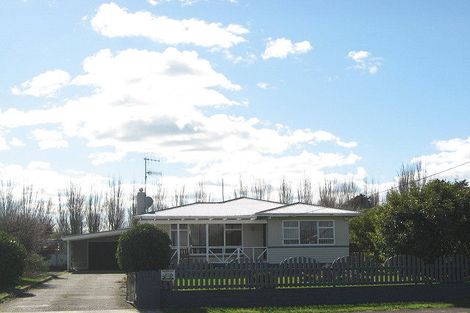 Photo of property in 33 Francis Drake Street, Waipukurau, 4200