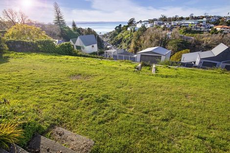 Photo of property in 21a Lincoln Road, Bluff Hill, Napier, 4110