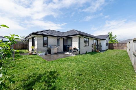 Photo of property in 19 Briannarose Drive, Fitzroy, Hamilton, 3206