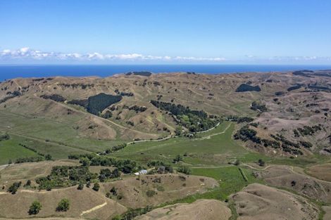 Photo of property in 429 Te Akau South Road, Te Akau, Ngaruawahia, 3793