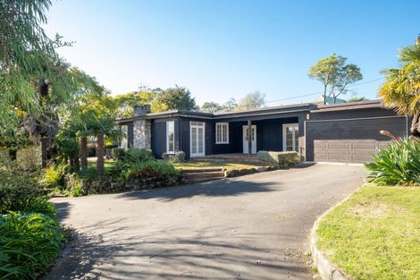 Photo of property in 61 Simla Avenue, Havelock North, 4130