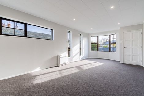 Photo of property in 219b Park Street, Winton, 9720