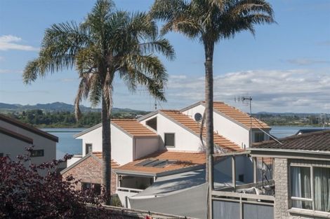 Photo of property in 39c Scantlebury Street, Tauranga South, Tauranga, 3112