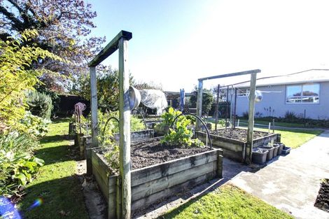 Photo of property in 29 Lucas Street, Riversdale, Blenheim, 7201